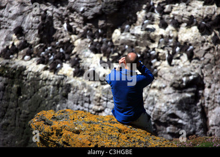 L'homme à la regarder avec des jumelles sur les guillemots Lunga dans les Treshnish Isles Banque D'Images