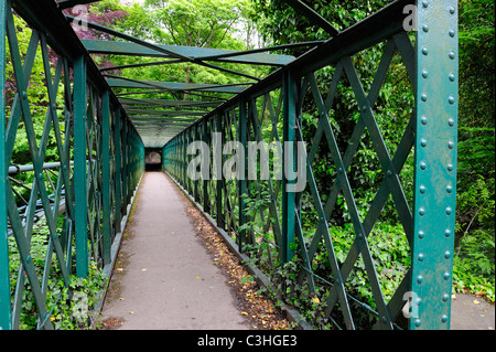 Pont en fer forgé Matlock Derbyshire, Angleterre, Royaume-Uni Banque D'Images