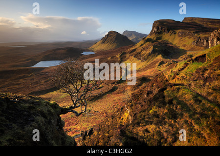 Début du printemps matin vue sur le magnifique Quirang sur l'île de Skye, Écosse Banque D'Images