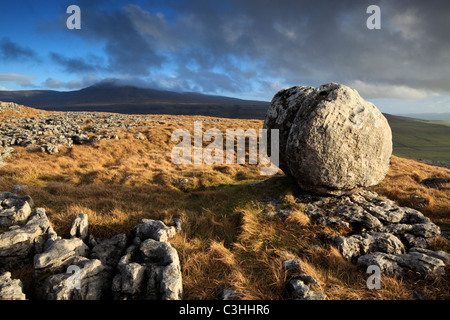 Un seul bloc erratique siège sur le lapiez de cicatrice plus Twistleton Ingleton dans le Yorkshire Dales de l'Angleterre Banque D'Images