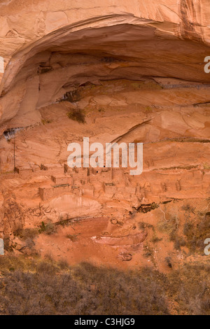 Betatakin Ruin, qui signifie "Maison construite sur une corniche" en navajo Navajo National Monument, Arizona, USA. Banque D'Images