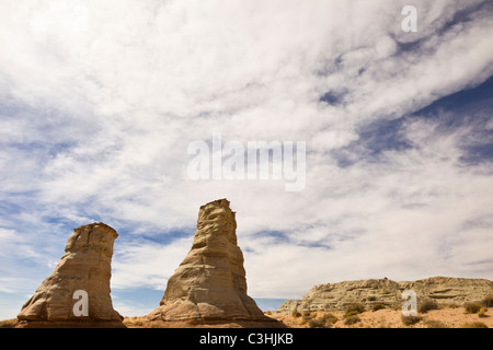 Pieds d'éléphants piliers, une formation rocheuse naturelle près de Monument Valley dans le Nord de l'Arizona, USA. Banque D'Images