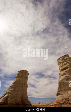 Pieds d'éléphants piliers, une formation rocheuse naturelle près de Monument Valley dans le Nord de l'Arizona, USA. Banque D'Images
