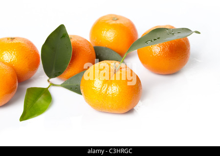 Tangerines fraîches sur le fond blanc Banque D'Images