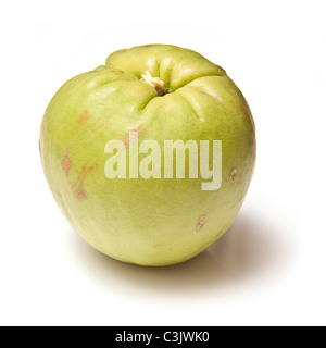 Chayotte (Sechium edule) fruits également connu sous le nom de Chow Chow Cho-Cho ou Cho Cho légumes isolated on a white background studio. Banque D'Images