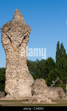 Jardins de l'abbaye en ruines, Bury St Edmunds Banque D'Images