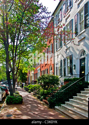 Le soleil brille sur les arbres en fleurs de printemps sur la rue historique de N dans le quartier de Georgetown, Washington, D.C. Banque D'Images