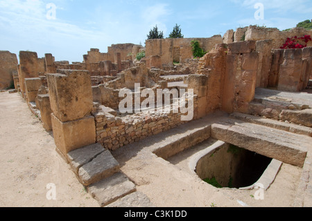 L'ancienne Carthage, ville antique, la Tunisie, l'Afrique Banque D'Images