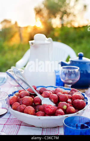 Bol avec des fraises sur une table de pique-nique Banque D'Images