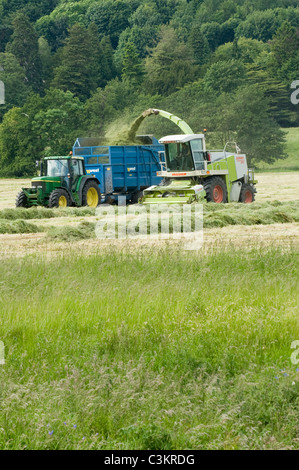 1 tracteur et remorque John Deere travaillant dans les champs agricoles, roulant le long de l'ensileuse Claas récoltant de l'herbe coupée (ensilage) - Yorkshire, Angleterre, Royaume-Uni. Banque D'Images