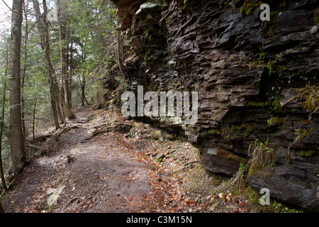 Le sentier des chutes, Ricketts Glen State Park, Benton, PA, USA Banque D'Images
