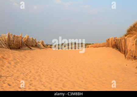 Dunes de sable et de l'escrime sur Formby Point près de Southport, Merseyside, Lancashire, England, UK. Banque D'Images