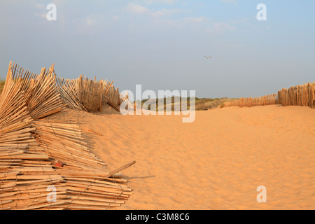 Dunes de sable et de l'escrime sur Formby Point près de Southport, Merseyside, Lancashire, England, UK. Banque D'Images