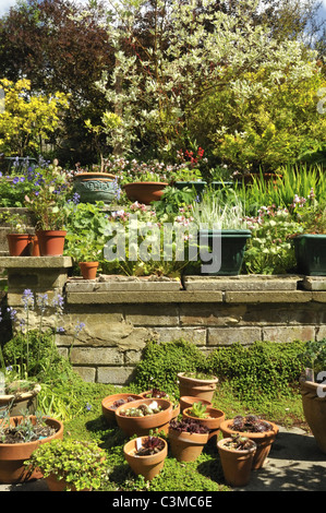 Petite banlieue en terrasses jardin anglais au printemps. Banque D'Images