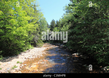 Mad River, Waterville Valley, New Hampshire, New England, USA Banque D'Images