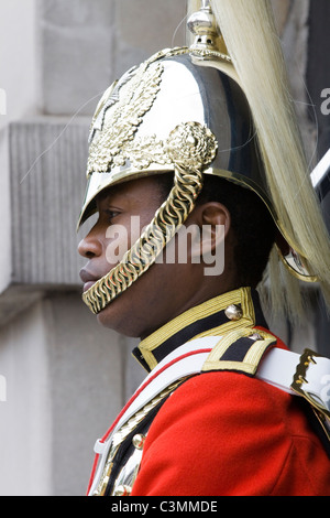 L'une de la Reine d'Angleterre chevaux sur la garde au Horse Guards London England Banque D'Images