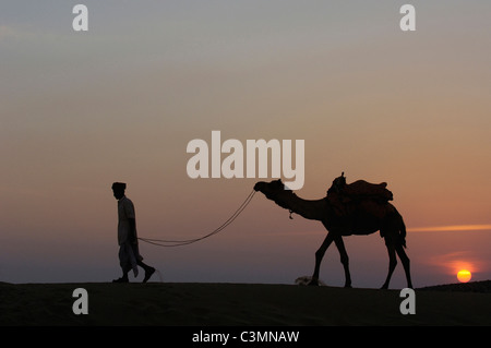 Un dromadaire, chameau (Camelus dromedarius) avec les éleveurs dans le désert de Thar silhouetté contre le soleil couchant Banque D'Images