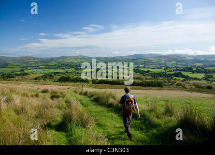 Walker dans la vallée de Owenkillew sur le tableau de marche des voleurs. Montagnes Sperrin, comté Tyrone, Irlande du Nord. Banque D'Images
