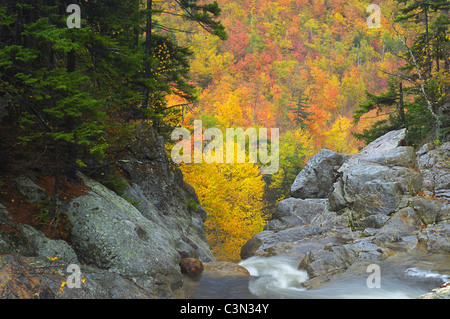 Haut de Glen Ellis Falls au New Hampshire Banque D'Images