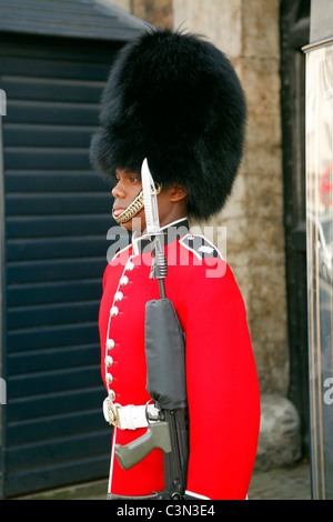 Irish Guards sur service de sentinelle à l'extérieur de St James' Palace Banque D'Images