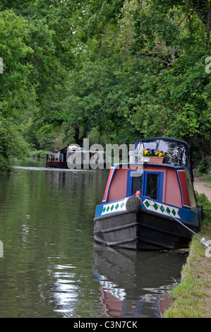 Péniche sur la rivière Wey, Surrey, Angleterre Banque D'Images