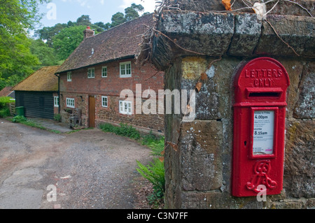 Red letter box, en mur de Mill Cottage, vendredi Street, Surrey, Angleterre. Date d'Edward le septième Banque D'Images