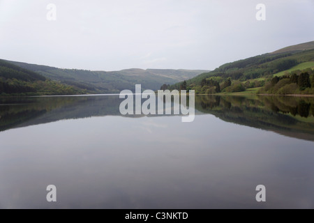 Réservoir de Talybont et forêt. Près de Talybont sur l'Usk Brecon Beacons, Pays de Galles, UK 110754 Brecon-Walk Banque D'Images