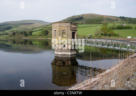 Réservoir de Talybont et forêt. Près de Talybont sur l'Usk Brecon Beacons, Pays de Galles, UK 110761 Brecon-Walk Banque D'Images