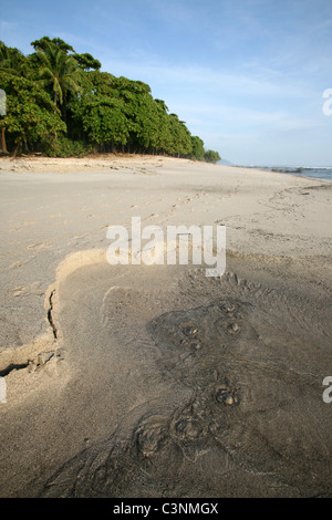 Une rivière coule à travers la plage de sable blanc à Puntarenas, Costa Rica Banque D'Images