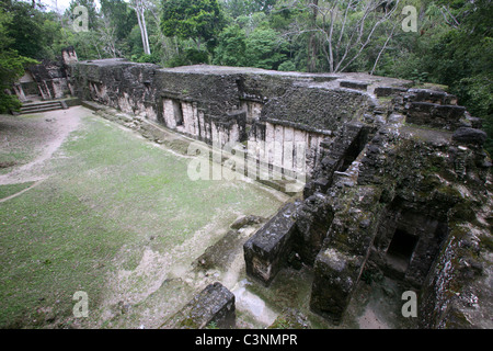 Le Palacio de las Acanaladuras à Tikal, El Petén, Guatemala, Amérique Centrale Banque D'Images