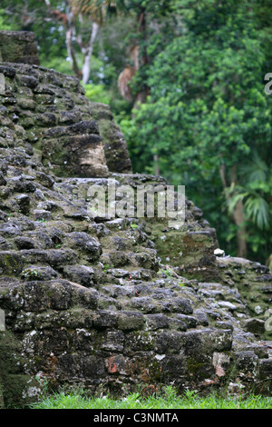 Escalier d'un temple en el Mundo Perdido Banque D'Images