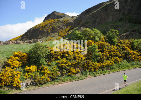 Arthur's Seat, un 823 pieds de haut hill à Holyrood Park dans le centre d'Édimbourg, en Écosse. Très populaire auprès des marcheurs et cyclistes Banque D'Images