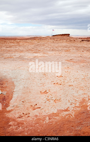 Empreintes de dinosaures près de Tuba City. Sur navajo land. À l'air libre et très accessible. Banque D'Images