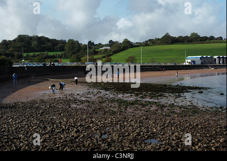 Broadsands Beach à Torbay, Devon Banque D'Images