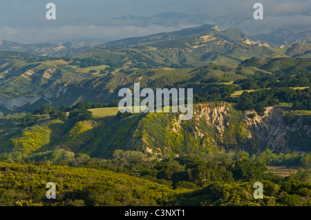 Chênes et des collines vertes au printemps dans des parcours à la base de la montagnes de Santa Ynez, en Californie Banque D'Images