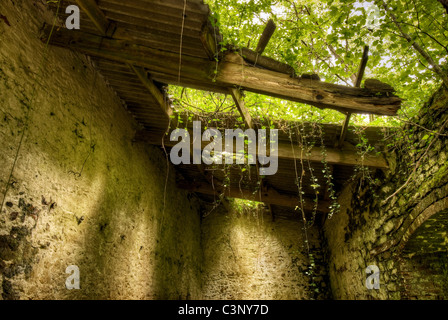 Toit en bois et envahi par l'abandon à l'ancien Fussells iron works à Mells, Somerset, uk prises à l'été Banque D'Images