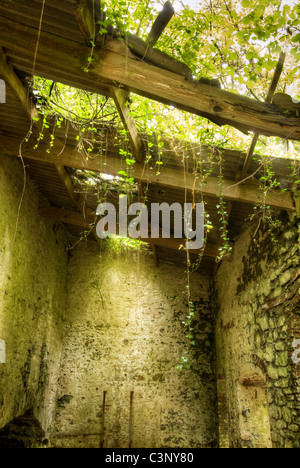 Toit en bois et envahi par l'abandon à l'ancien Fussells iron works à Mells, Somerset, uk prises à l'été Banque D'Images