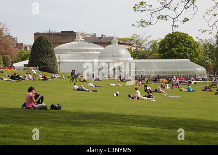 The Victorian Kibble Palace Glasshouse, dans le parc public Botanic Gardens, à l'extrémité ouest de Glasgow, en Écosse, au Royaume-Uni Banque D'Images