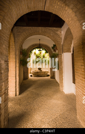 Un magnifique patio coloré SAISI DANS LE PATIO DE CORDOUE FESTIVAL 2011 Banque D'Images