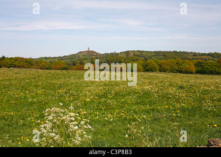 Summer meadow avec tour du Jubilé lointain sur la colline du Château, Almondbury, Huddersfield, West Yorkshire, Angleterre, Royaume-Uni. Banque D'Images