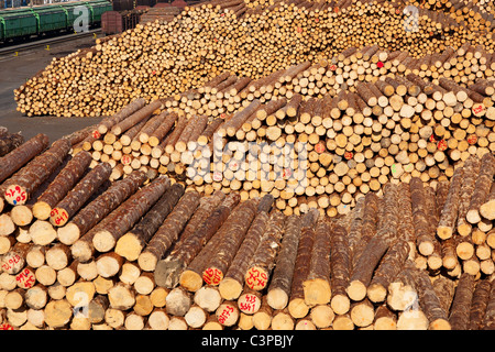 Vue d'énormes piles de bois empilés dans une usine de bois d'oeuvre Banque D'Images