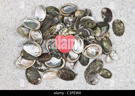 Plusieurs coquillages sur le sable blanc avec un coeur Banque D'Images