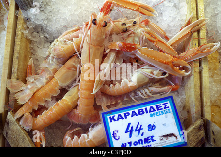 Grèce Athènes Plaka ATHINAS FISH MARKET Banque D'Images