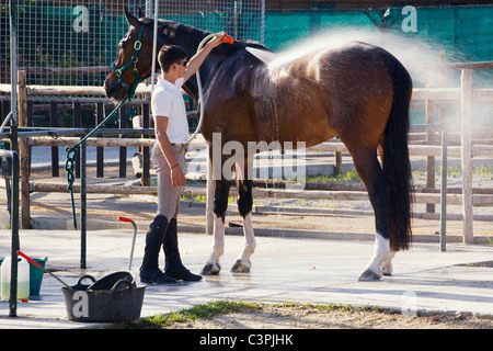 L'être lavé au jet après l'exercice à l'écuries, Hipodromo Mijas-Costa, la province de Malaga, Costa del Sol, Espagne. Banque D'Images