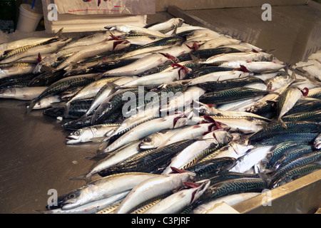 Grèce Athènes Plaka ATHINAS FISH MARKET Banque D'Images