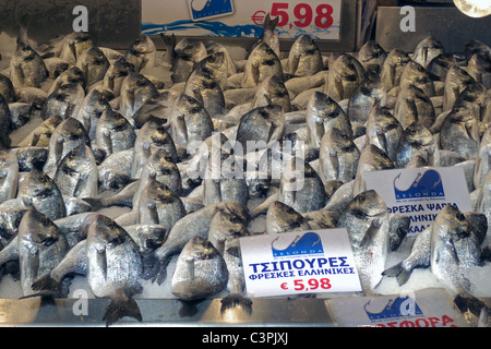 Grèce Athènes Plaka ATHINAS FISH MARKET Banque D'Images