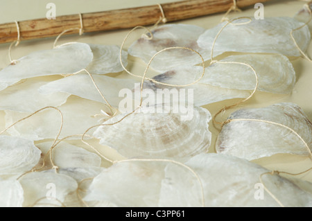 Rideau de coquillages, Close up Banque D'Images