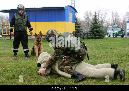 Officier garde-frontière de l'Ukraine avec chien à la frontière russo-ukrainienne, l'Ukraine Goptivka Banque D'Images