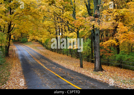 Un chemin asphalté à travers le parc en automne, Sharon Woods, le sud-ouest de l'Ohio, USA Banque D'Images