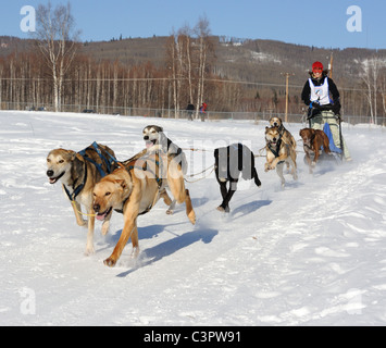 Limited North American Championship Races de chiens de traîneau. Six chiens de traîneau. Du 11 au 13 mars 2010 à Fairbanks, en Alaska. Banque D'Images